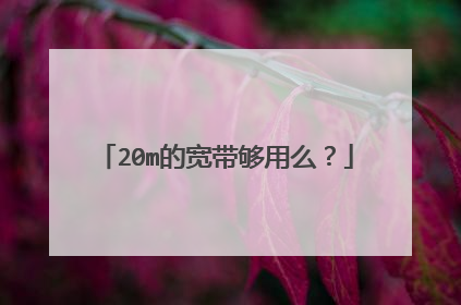 20m的宽带够用么？
