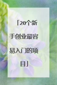 20个新手创业最容易入门的项目