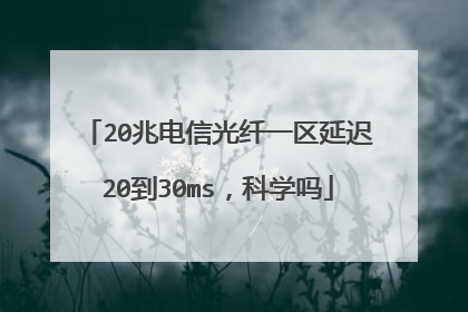 20兆电信光纤一区延迟20到30ms,科学吗