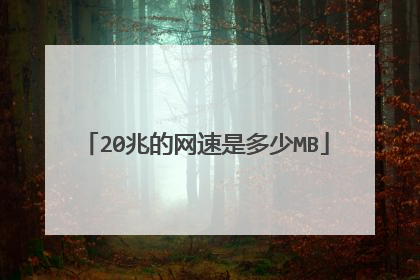 20兆的网速是多少MB