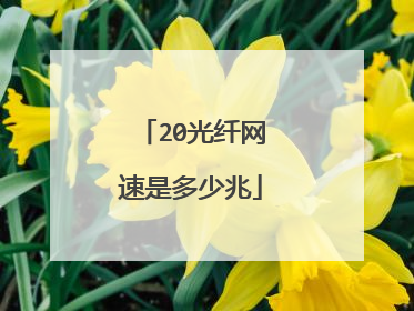 20光纤网速是多少兆