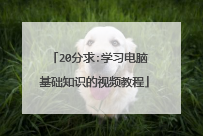 20分求:学习电脑基础知识的视频教程