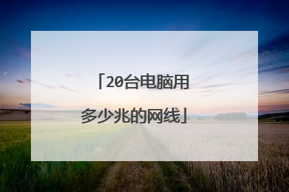 20台电脑用多少兆的网线