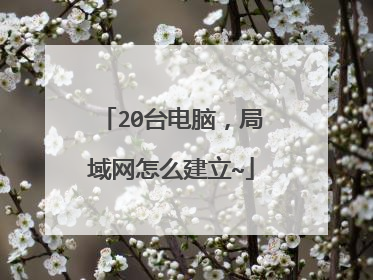 20台电脑，局域网怎么建立~