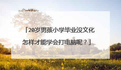 20岁男孩小学毕业没文化怎样才能学会打电脑呢?