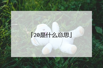 20是什么意思