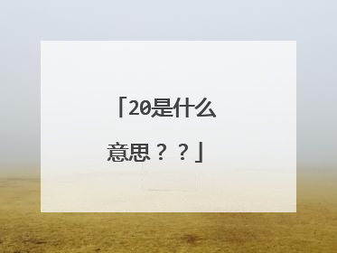 20是什么意思？？