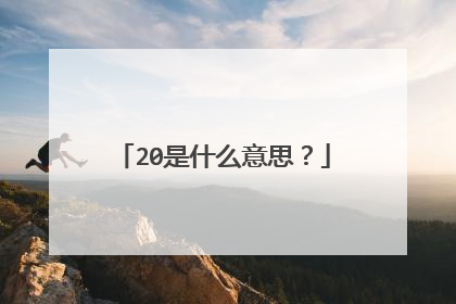 20是什么意思？