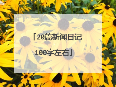 20篇新闻日记100字左右