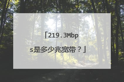 219.3Mbps是多少兆宽带?