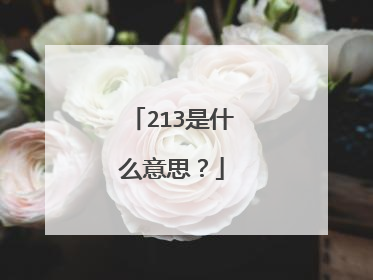 213是什么意思?