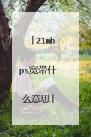 21mbps宽带什么意思