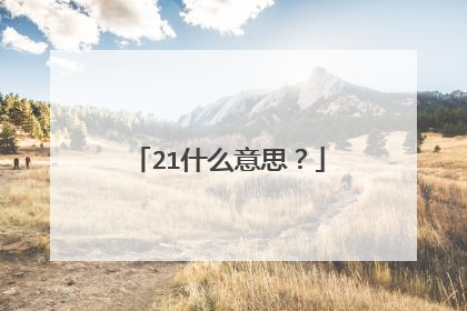 21什么意思?