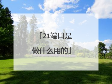 21端口是做什么用的