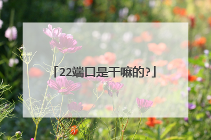 22端口是干嘛的?
