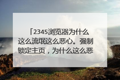 2345浏览器为什么这么流氓这么恶心。强制锁定主页,为什么这么恶心,可以起诉吗