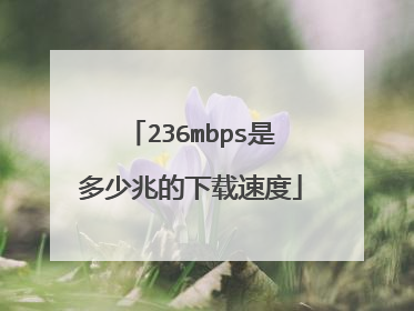 236mbps是多少兆的下载速度