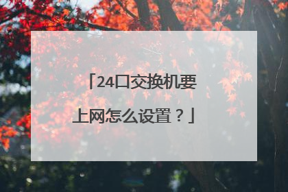 24口交换机要上网怎么设置？