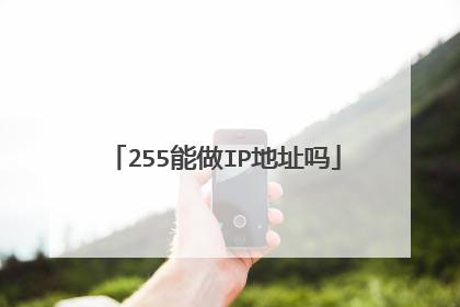 255能做IP地址吗