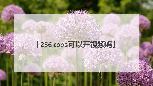256kbps可以开视频吗