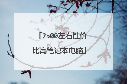 2500左右性价比高笔记本电脑