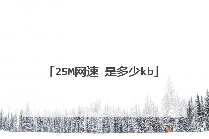 25M网速 是多少kb