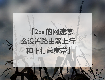 25m的网速怎么设置路由器上行和下行总宽带