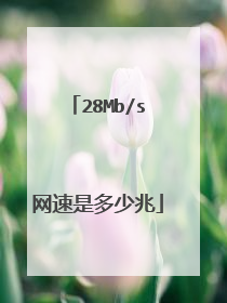 28Mb/s网速是多少兆