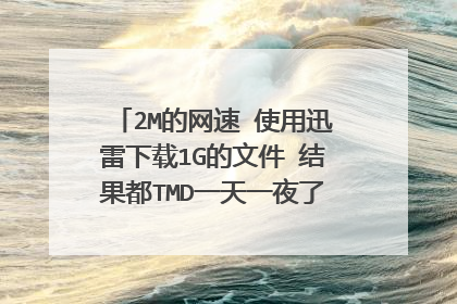 2M的网速 使用迅雷下载1G的文件 结果都TMD一天一夜了 还没下载完