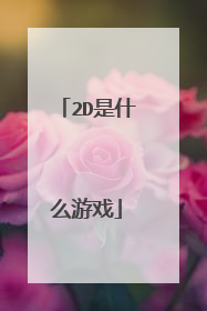 2D是什么游戏