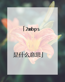 2mbps是什么意思