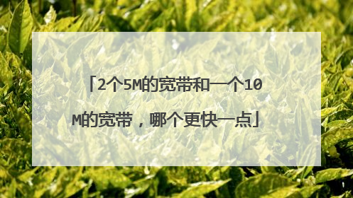 2个5M的宽带和一个10M的宽带,哪个更快一点