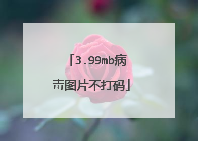 3.99mb病毒图片不打码