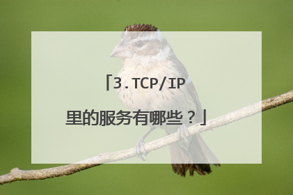 3.TCP/IP里的服务有哪些?
