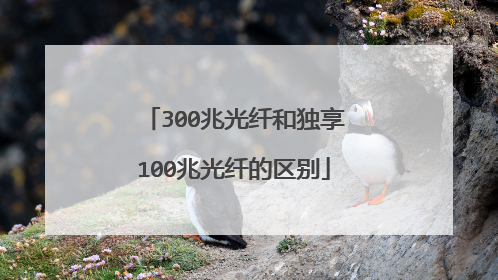 300兆光纤和独享100兆光纤的区别