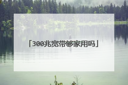 300兆宽带够家用吗