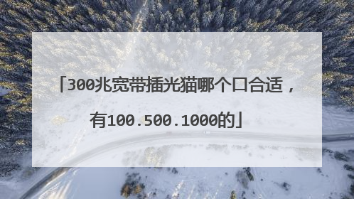300兆宽带插光猫哪个口合适,有100.500.1000的