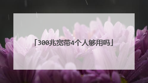 300兆宽带4个人够用吗