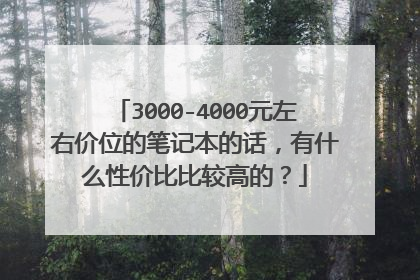 3000-4000元左右价位的笔记本的话,有什么性价比比较高的?