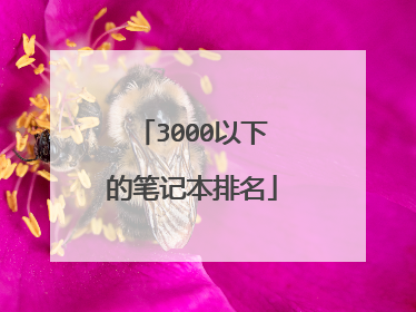 3000以下的笔记本排名