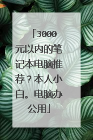 3000元以内的笔记本电脑推荐？本人小白。电脑办公用