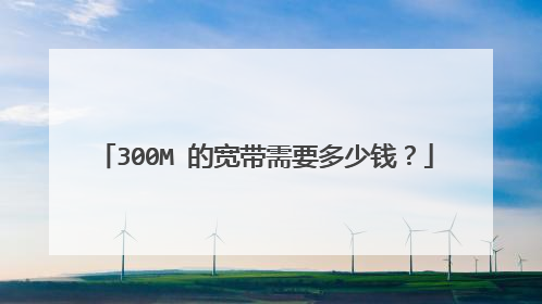 300M 的宽带需要多少钱？