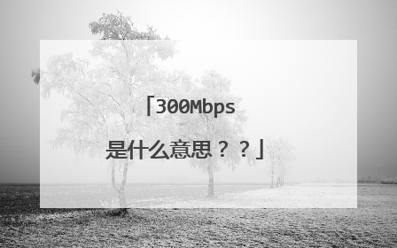 300Mbps 是什么意思？？