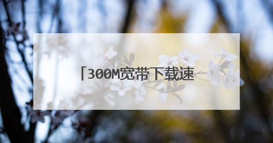 300M宽带下载速度只有5m， 最高也不超过20m，装宽带的跟我说很正常？