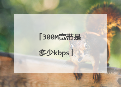 300M宽带是多少kbps