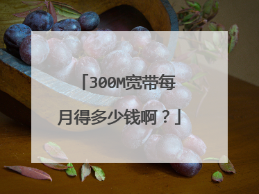 300M宽带每月得多少钱啊？