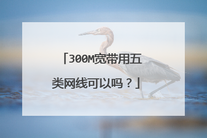 300M宽带用五类网线可以吗?