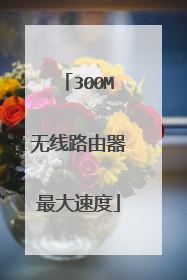 300M无线路由器最大速度