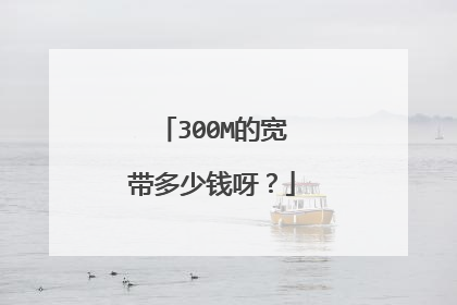 300M的宽带多少钱呀?