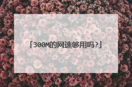 300M的网速够用吗?